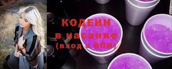 таблы Бородино