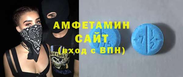 сатива Бронницы
