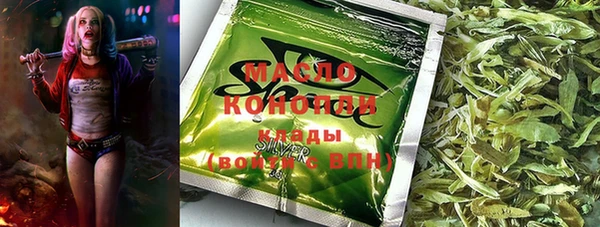 МДПВ Каменка
